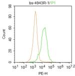 MPO Antibody in Flow Cytometry (Flow)