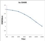 BAAT Antibody in ELISA (ELISA)