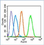 Phospho-CREB-1Ser121 (Ser121) Antibody in Flow Cytometry (Flow)