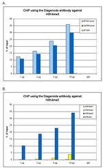 H3K4me3 Antibody in ChIP Assay (ChIP)