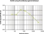 H3K4me1 Antibody in ELISA (ELISA)