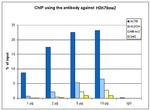 H3K79me2 Antibody in ChIP Assay (ChIP)
