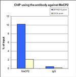 MeCP2 Antibody in ChIP Assay (ChIP)