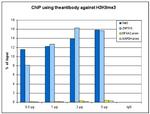 H3K9me3 Antibody in ChIP Assay (ChIP)