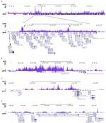 H3K9me3 Antibody in ChIP-Sequencing (ChIP-seq)