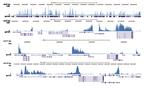 H3K79me3 Antibody in ChIP-Sequencing (ChIP-seq)