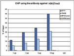 H3K27me3 Antibody in ChIP Assay (ChIP)