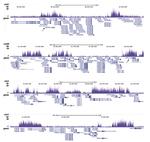 H3K27me3 Antibody in ChIP-Sequencing (ChIP-seq)