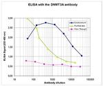 DNMT3A Antibody in ELISA (ELISA)