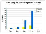 H3K36me1 Antibody in ChIP Assay (ChIP)