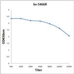 Phospho-JunD (Ser255) Antibody in ELISA (ELISA)