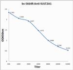 SULT2A1 Antibody in ELISA (ELISA)