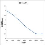 Phospho-RPS6KB1 (Thr412) Antibody in ELISA (ELISA)