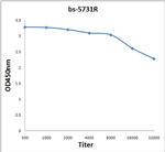 Mad2L1 Antibody in ELISA (ELISA)