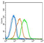 ADAM28 Antibody in Flow Cytometry (Flow)