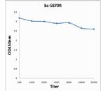 KLK6 Antibody in ELISA (ELISA)