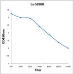 Lumican Antibody in ELISA (ELISA)