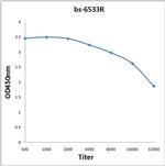 EIG121 Antibody in ELISA (ELISA)