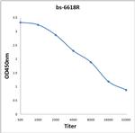 PAPPA Antibody in ELISA (ELISA)