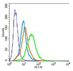 KCNK3 Antibody in Immunocytochemistry (ICC/IF)