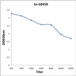 NOX5 Antibody in ELISA (ELISA)