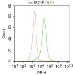 Catalase Antibody in Flow Cytometry (Flow)