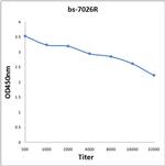 HSP10 Antibody in ELISA (ELISA)