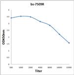 VG5Q Antibody in ELISA (ELISA)