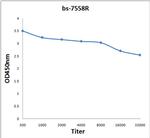 RAB35 Antibody in ELISA (ELISA)