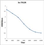 GAK protein Antibody in ELISA (ELISA)