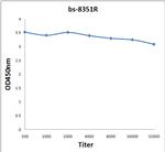 Ube2N Antibody in ELISA (ELISA)