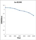 Luciferase Antibody in ELISA (ELISA)