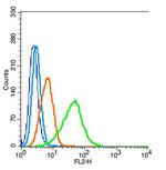 Nitrotyrosine Antibody in Flow Cytometry (Flow)