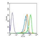 DOK5 Antibody in Flow Cytometry (Flow)