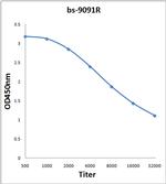 hnRNP A2B1 Antibody in ELISA (ELISA)