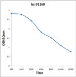 BAGE4 Antibody in ELISA (ELISA)