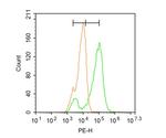 5 MethylCytosine Antibody in Flow Cytometry (Flow)