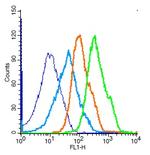 SIRT5 Antibody in Flow Cytometry (Flow)