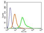 LAGY Antibody in Flow Cytometry (Flow)