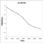 ASH1L Antibody in ELISA (ELISA)