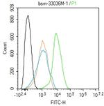 beta-Actin Antibody in Flow Cytometry (Flow)