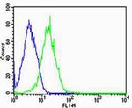 PPT1 Antibody in Flow Cytometry (Flow)