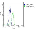 RAB18 Antibody in Flow Cytometry (Flow)