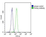 RAB27A Antibody in Flow Cytometry (Flow)