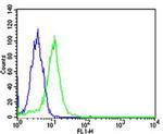 PPARA Antibody in Flow Cytometry (Flow)