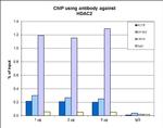 HDAC2 Antibody in ChIP Assay (ChIP)