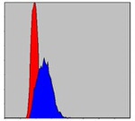 c-Jun Antibody in Flow Cytometry (Flow)