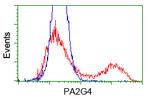 c-Myc Antibody in Flow Cytometry (Flow)