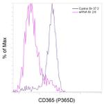 CD365 (Tim-1) Antibody in Flow Cytometry (Flow)