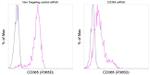 CD365 (Tim-1) Antibody